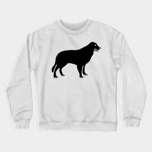 Border Collie Crewneck Sweatshirt